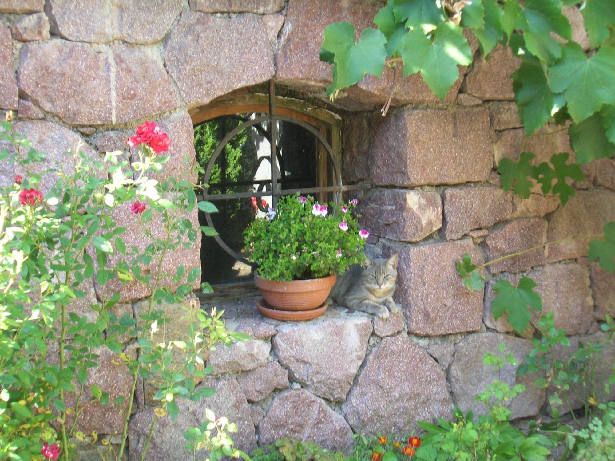 Gasthof Tschötscherhof Kastelruth Exterior foto